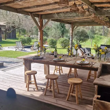 4 De Luxe Privatisees A 300m De La Dune