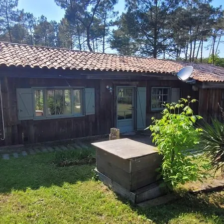 Villa 4 De Luxe Privatisees A 300m De La Dune *