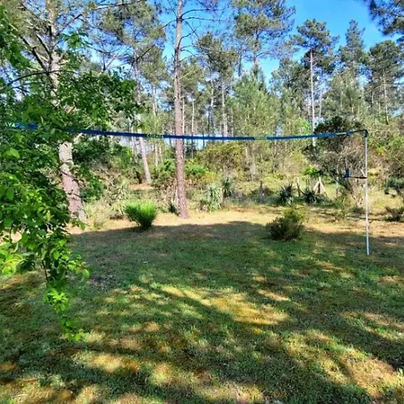 4 De Luxe Privatisees A 300m De La Dune