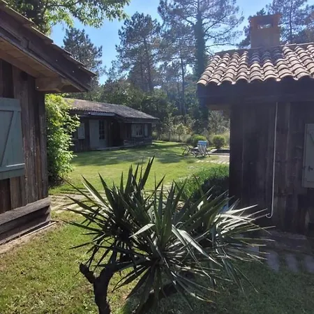 Willa 4 De Luxe Privatisees A 300m De La Dune