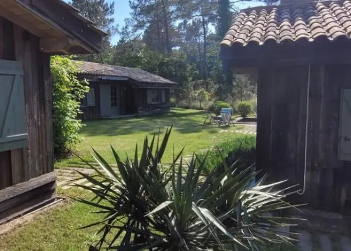 4 De Luxe Privatisées à 300m De La Dune