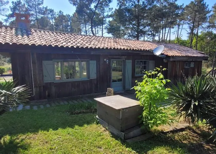 Villa 4 De Luxe Privatisées à 300m De La Dune *