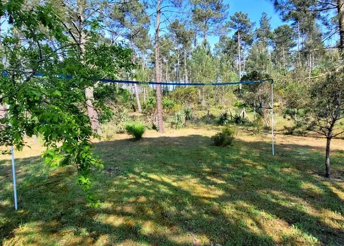 4 De Luxe Privatisées à 300m De La Dune